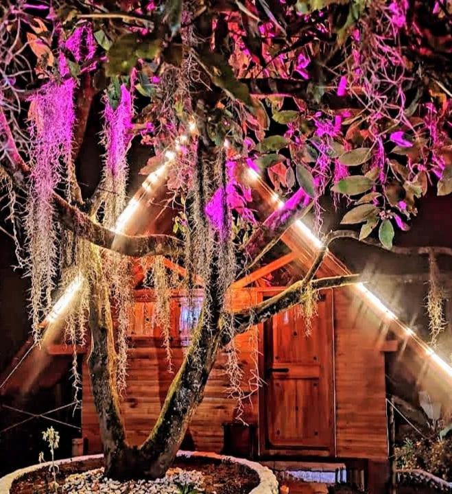 فيلانديا Cabanas La Miranda المظهر الخارجي الصورة